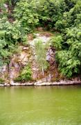 Zhytomyr. Young birch tree on granite shore, Zhytomyr Region, Geological sightseeing 