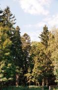 Ivnytsia. Giants of Ivnitskyi Park, Zhytomyr Region, Country Estates 