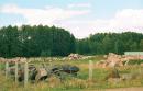 Лизник. Склад добытого гранитного камня, Житомирская область, Геологические достопримечательности 