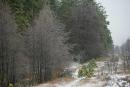 Poliskyi Reserve. Winter vista, Zhytomyr Region, Natural Reserves 