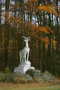 Radomyshl. Roadside deer, Zhytomyr Region, Monuments 