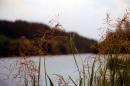 Trygiria. Mysterious expanse of reservoir, Zhytomyr Region, Rivers 