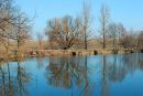 Turchynivka. Manor Pond, Zhytomyr Region, Country Estates 