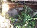 Tiutiunyky. A crumbling basement vault, Zhytomyr Region, Country Estates 
