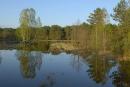 Virginal expanse of river Polissia Ubort, Zhytomyr Region, Rivers 