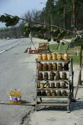 Roadside trade in goods Polisia, Zhytomyr Region, Roads 