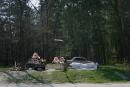 Soft toys in forest near Korostyshiv, Zhytomyr Region, Roads 