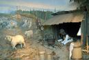 Музей Карпатского заповедника. Пастухи на полонине, Закарпатская область, Музеи 
