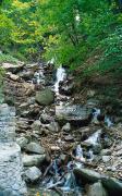 Carpathian Reserve. Mountain creek, Zakarpattia Region, Natural Reserves 