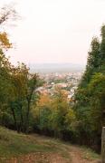 Korolevo. View of village from road to castle, Zakarpattia Region, Towns 