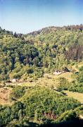 Kostylivka. Kuziysky array Carpathian reserve, Zakarpattia Region, Natural Reserves 