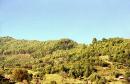 Kostylivka  village on Tisa, Zakarpattia Region, Natural Reserves 