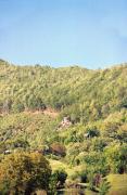 Костылевка. Карпатский склон над долиной Тисы, Закарпатская область, Природные заповедники 