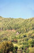 Kostylivka. Carpathian slopes above valley of Tisa, Zakarpattia Region, Natural Reserves 