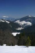 Reserve Synevyr. Synevyr and Carpathian mountains, Zakarpattia Region, National Natural Parks 