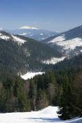 Reserve Synevyr. Frozen spot Synevyr, Zakarpattia Region, National Natural Parks 