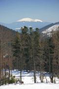 Reserve Synevyr. On roof of Ukrainian Carpathians, Zakarpattia Region, National Natural Parks 