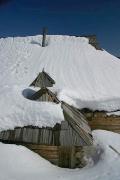 Reserve Synevyr. Under snow cap, Zakarpattia Region, National Natural Parks 