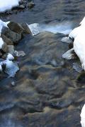 Reserve Synevyr. Mountain stream winter, Zakarpattia Region, National Natural Parks 