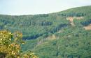 Syniak. Eastern slope of Mount Obavsky Stone, Zakarpattia Region, Geological sightseeing 
