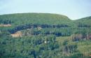 Syniak. Deciduous forest mountains Obavsky Stone, Zakarpattia Region, Geological sightseeing 