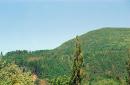 Syniak. Mountain Bus on ridge Syniak, Zakarpattia Region, Geological sightseeing 