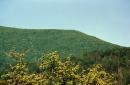 Syniak. Ridge Syniak of Volcanic Carpathians, Zakarpattia Region, Geological sightseeing 