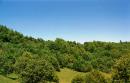 Uzhanskyi Reserve. Uzhotsky Pass (852 m), Zakarpattia Region, National Natural Parks 