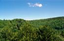 Uzhanskyi Reserve. Top Dividing Range, Zakarpattia Region, National Natural Parks 