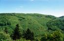 Uzhanskyi Reserve. Wooded slopes of Beskid, Zakarpattia Region, National Natural Parks 