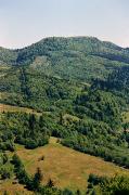 Uzhanskyi Reserve. Mount Blyshnia (1040 m), Zakarpattia Region, National Natural Parks 