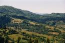 Uzhanskyi Reserve. Mount Stizhok (993 m), Zakarpattia Region, National Natural Parks 