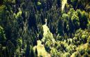 Ужанский НПП. Старый и молодой карпатский лес, Закарпатская область, Национальные природные парки 