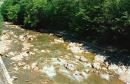 Uzhanskyi Reserve. Already rocky riverbed, Zakarpattia Region, Rivers 