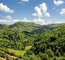 Uzhanskyi Reserve. In right-bank part of park, Zakarpattia Region, National Natural Parks 