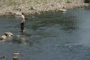 Ужгород. Ловись рыбка…, Закарпатская область, Реки 
