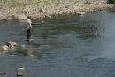 Uzhgorod. Catching small fish, Zakarpattia Region, Rivers 