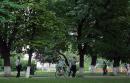 Uzhgorod. In park, Zakarpattia Region, Cities 