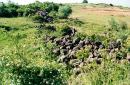 Uzhgorod. Radvanka dumps basalt quarry, Zakarpattia Region, Geological sightseeing 