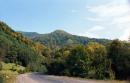 Lug. In Kuziysky array Carpathian reserve, Zakarpattia Region, Roads 