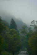 Mist rises from road Tiachiv  Rakhiv, Zakarpattia Region, Roads 