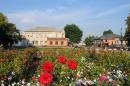 Guliaypole. Flower garden city's central square, Zaporizhzhia Region, Civic Architecture 