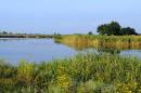 Guliaypole. River Gaichur, Zaporizhzhia Region, Rivers 