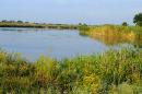 Guliaypole. Dammed river Gaichur, Zaporizhzhia Region, Rivers 