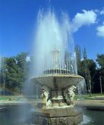 Zaporizhzhia. In park Oak Forest, Zaporizhzhia Region, Cities 