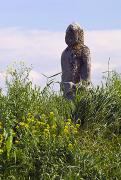 Zaporizhzhia. Polovtsian woman on island Khortytsia, Zaporizhzhia Region, Museums 