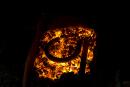 Zaporizhzhia. Horseshoe on coals, Zaporizhzhia Region, Cities 