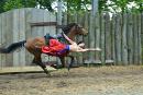 Zaporizhzhia. Horse theatre  ahead of runner, Zaporizhzhia Region, Cities 