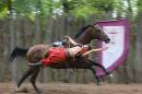 Zaporizhzhia. Horse theatre  sticking to side horse, Zaporizhzhia Region, Cities 