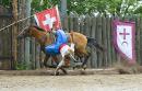 Zaporizhzhia. Horse theater  raise cap is not easy, Zaporizhzhia Region, Cities 